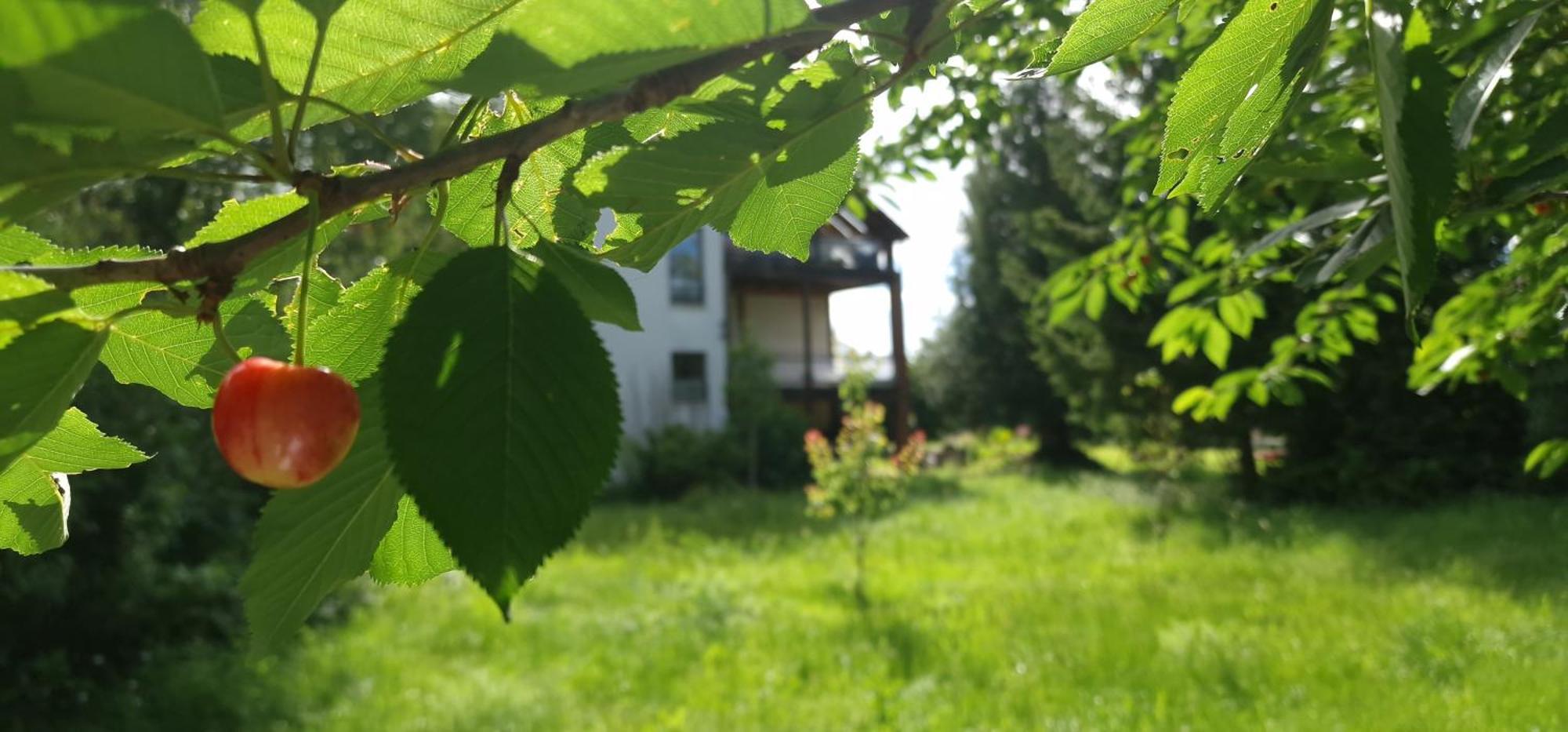 Ferienwohnung Darkwolf House Merseburg Exterior foto
